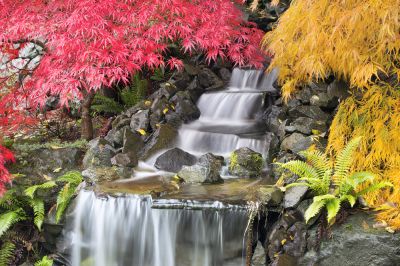 Install a Waterfall!