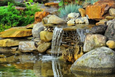 Create a Peaceful Backyard Oasis with a Water Feature Installation!