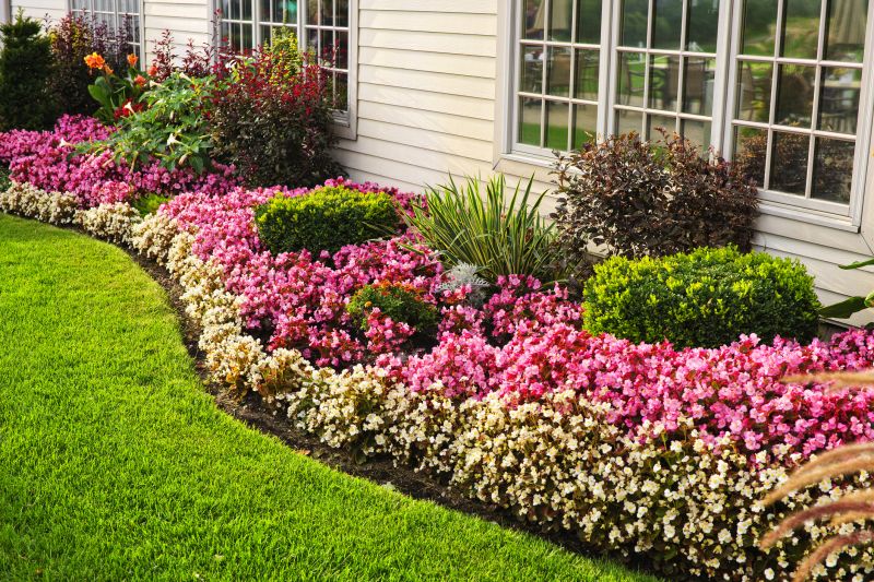 Ground Cover Planting in Honolulu, HI