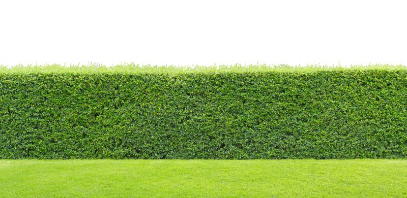 Hedge Landscaping in Ventura County, CA